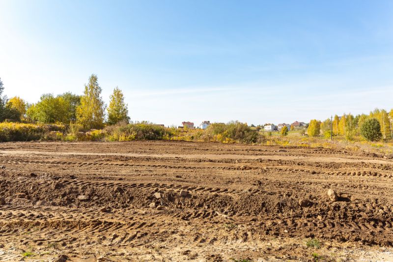 Pasture Clearing in Marietta, GA