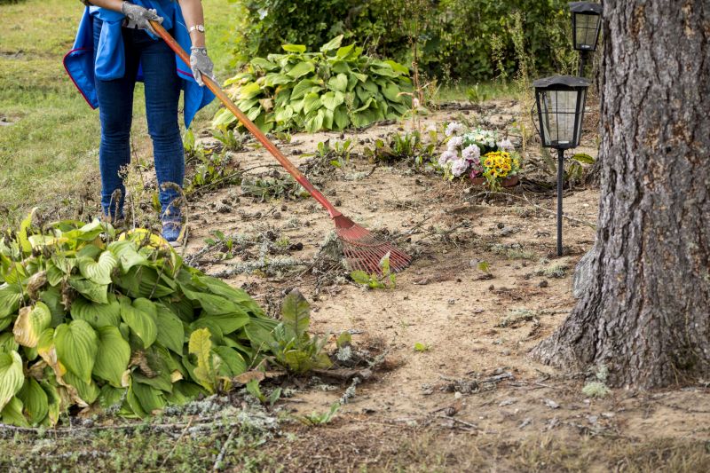 Pool Land Clearing in Salt Lake City, UT