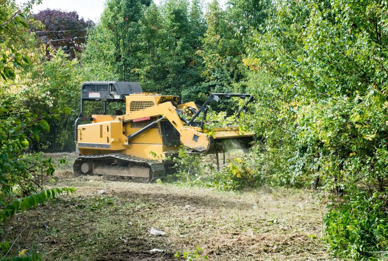 Property Line Clearing in Atlanta, GA